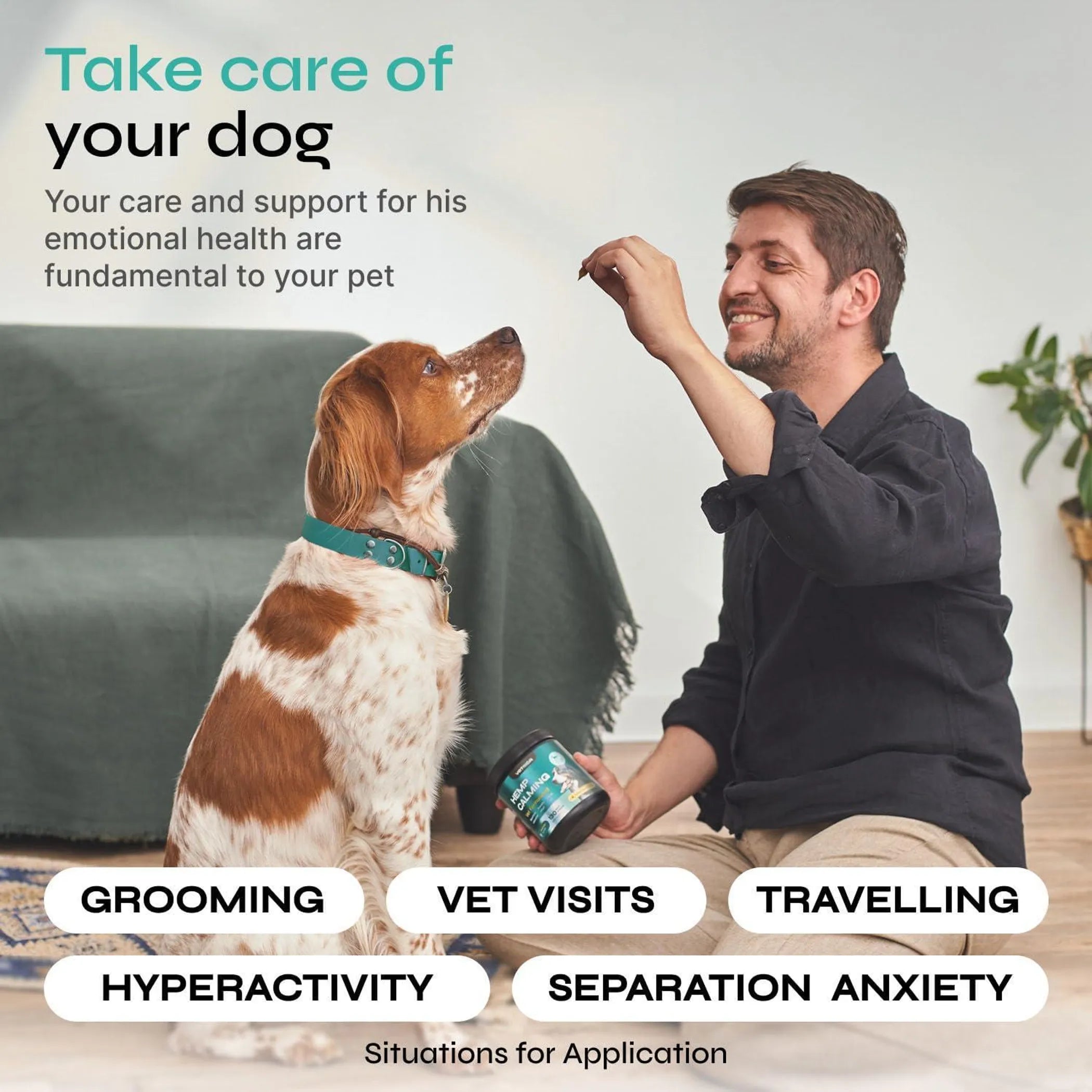Beef Flavor Calming Chews for Dogs - Gentle Daily Relief label close-up | CalmPaws