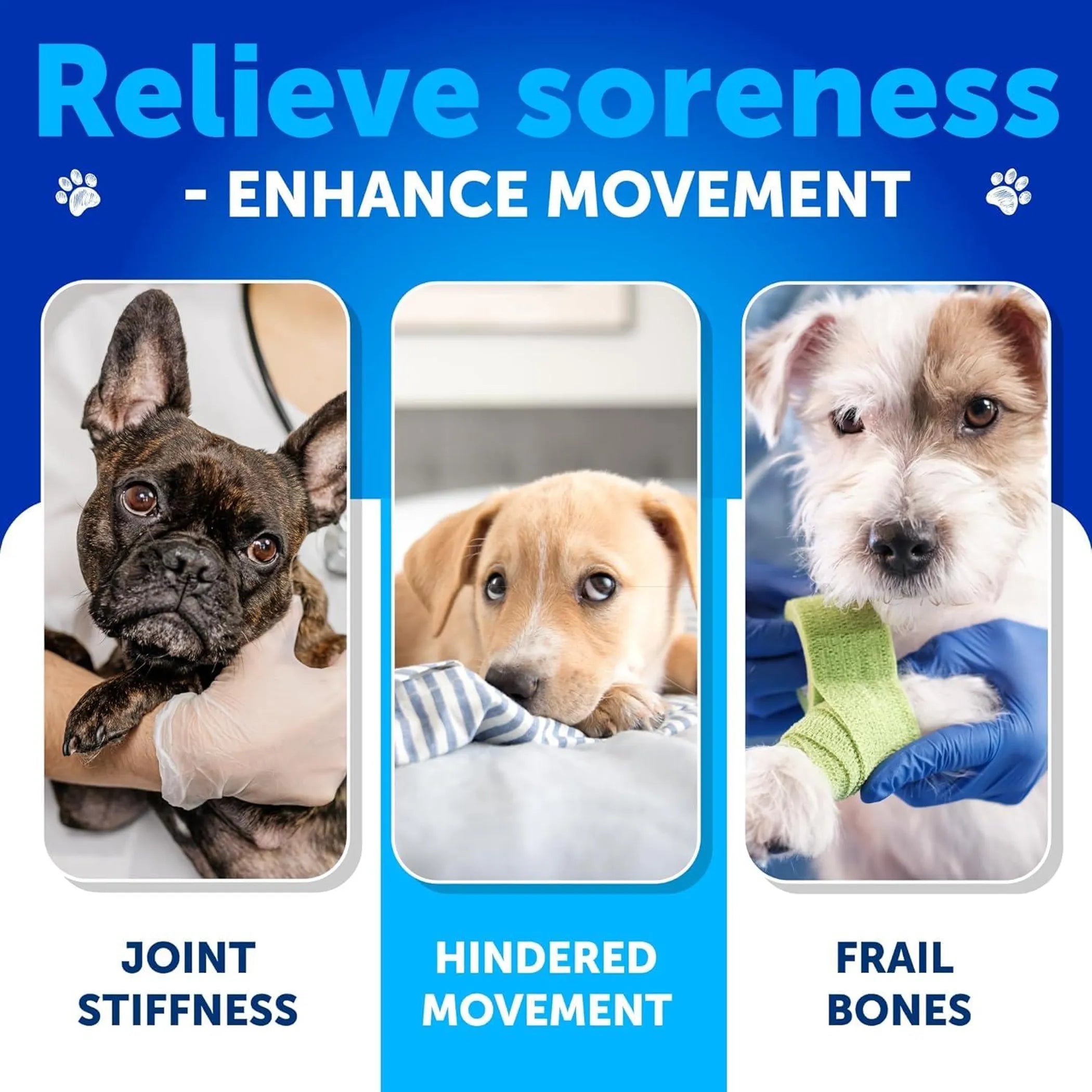 Glucosamine for Dogs Hip and Joint Supplement packaging detail | CalmPaws