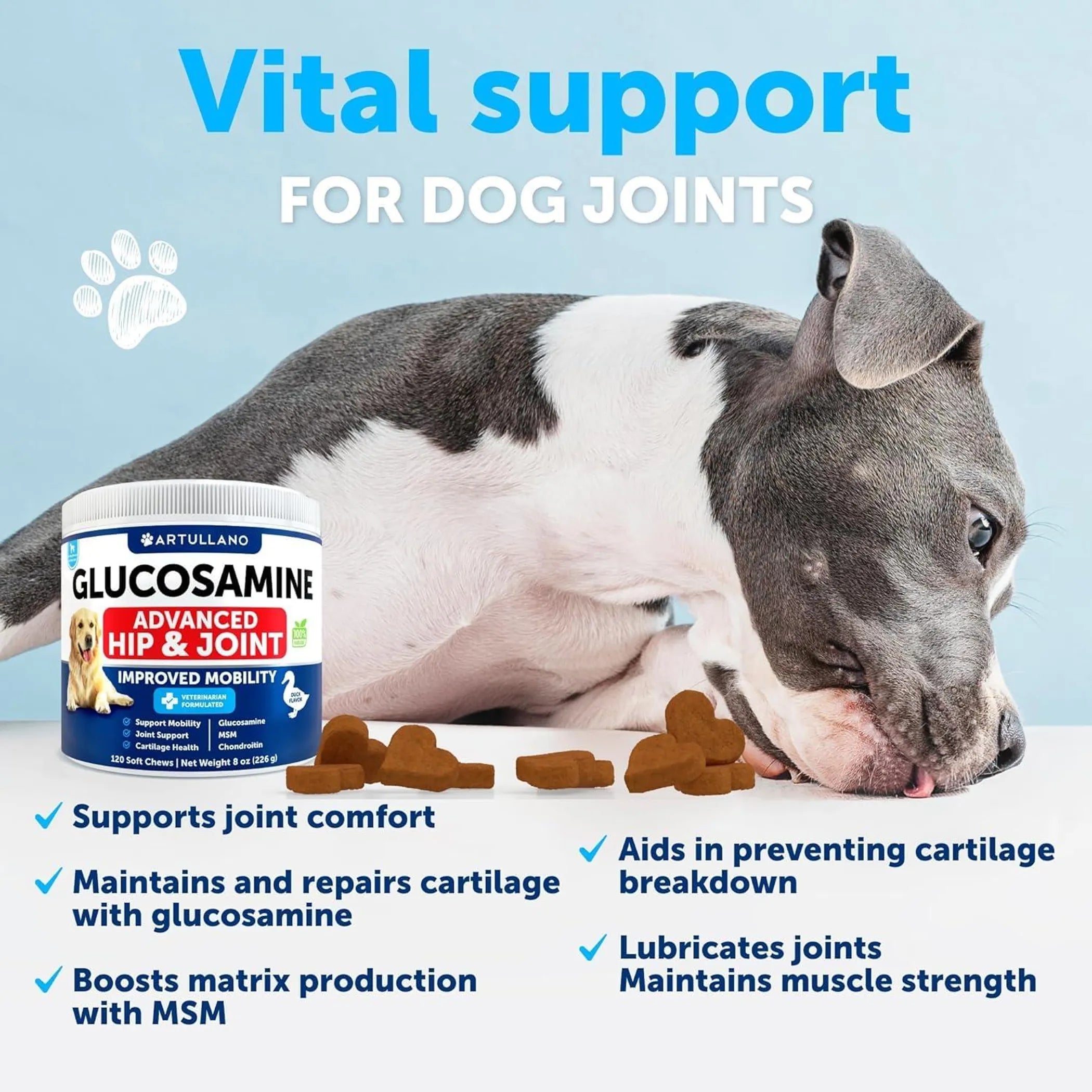 Glucosamine for Dogs Hip and Joint Supplement label close-up | CalmPaws