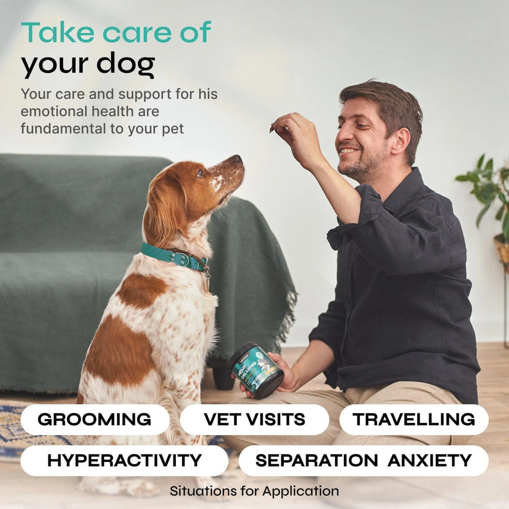 Calming Chews for Dogs - Hemp Soft Treats for Anxiety back view | CalmPaws
