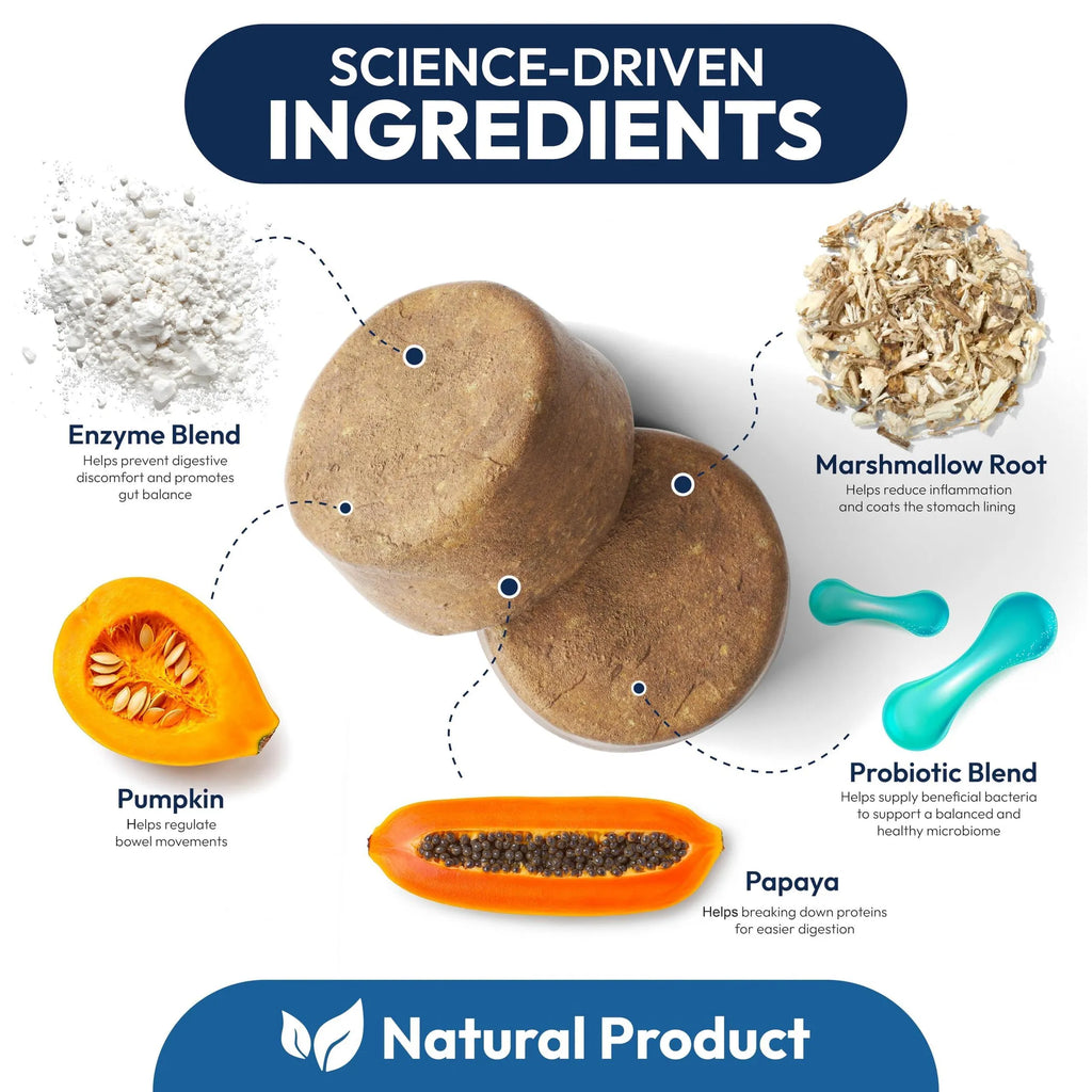 Probiotics for Dogs side view | CalmPaws