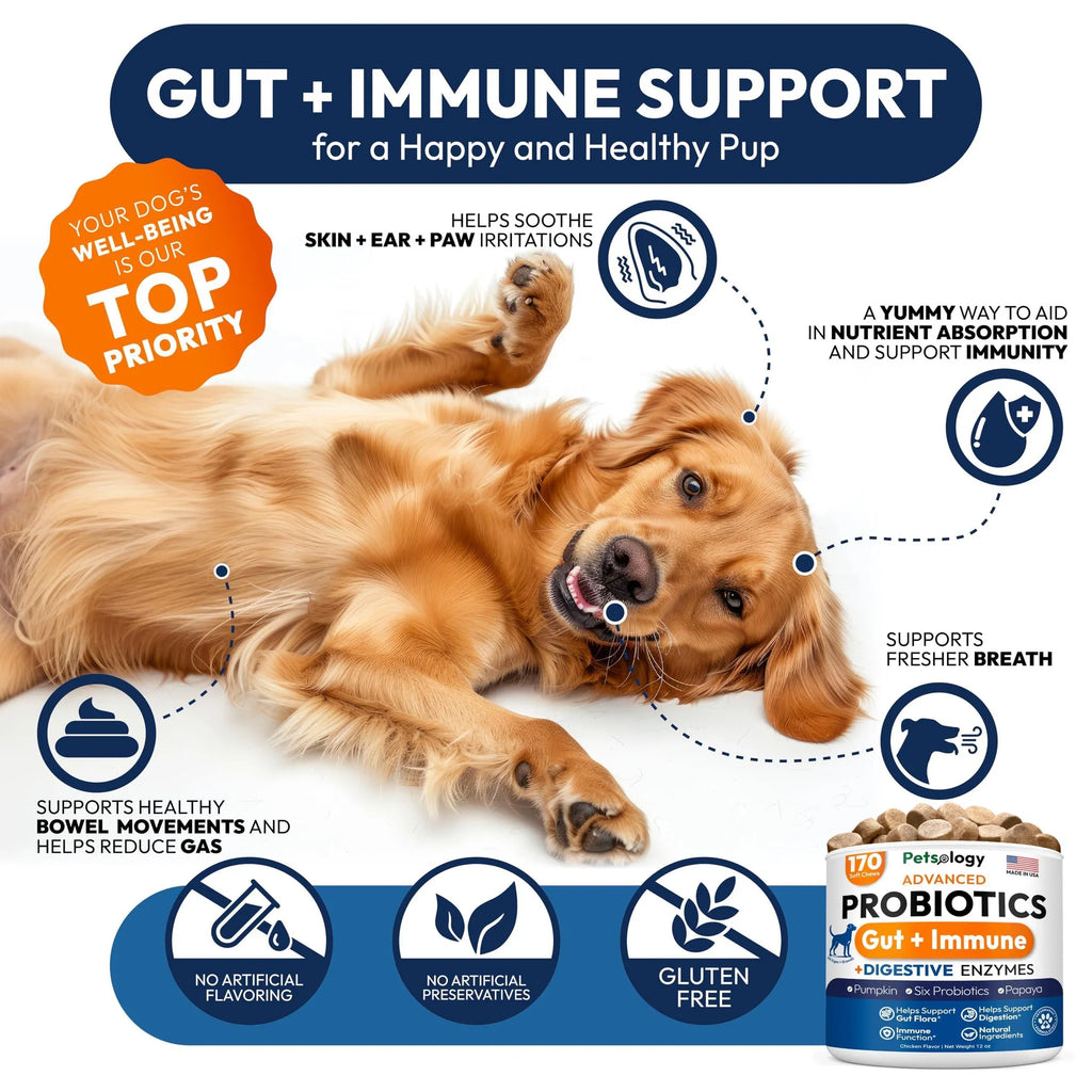 Probiotics for Dogs back view | CalmPaws