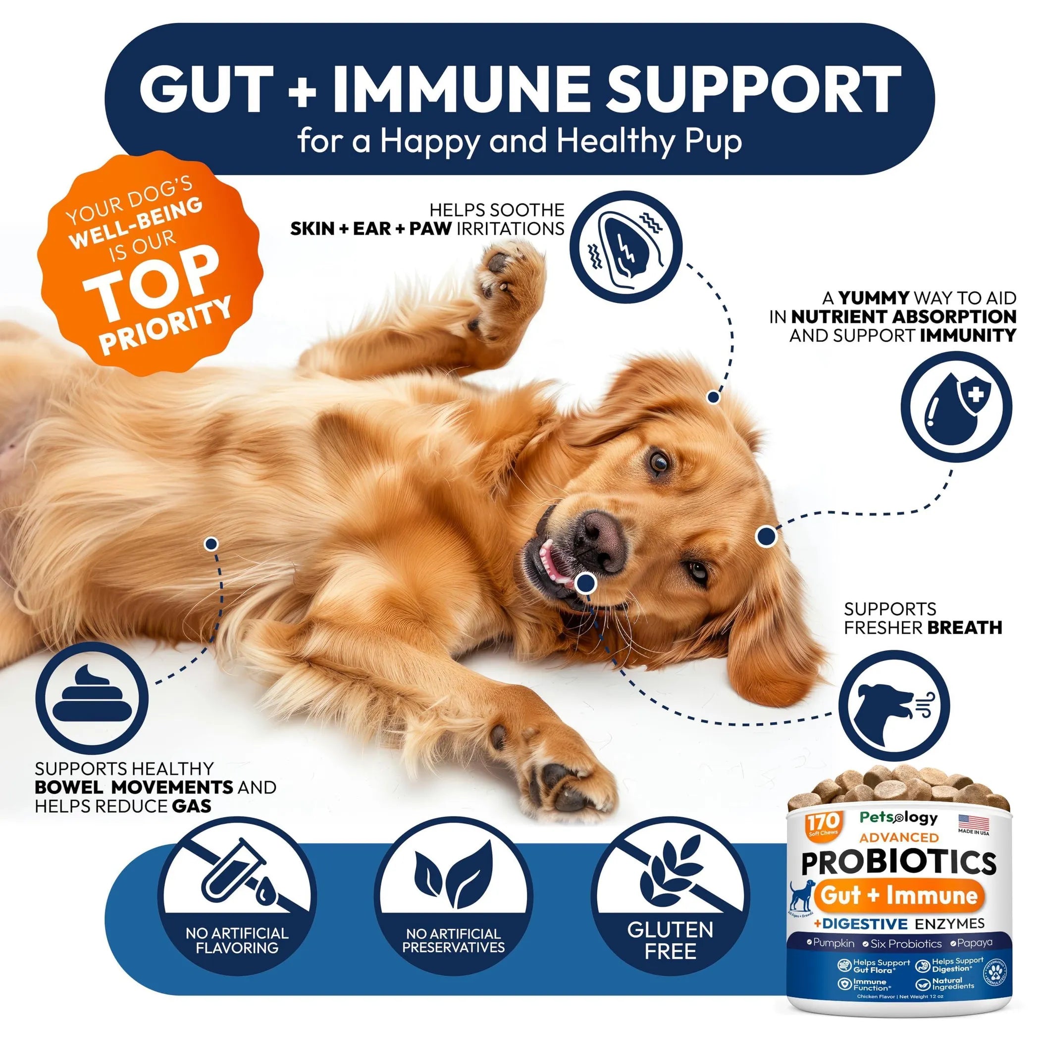 Probiotics for Dogs back view | CalmPaws