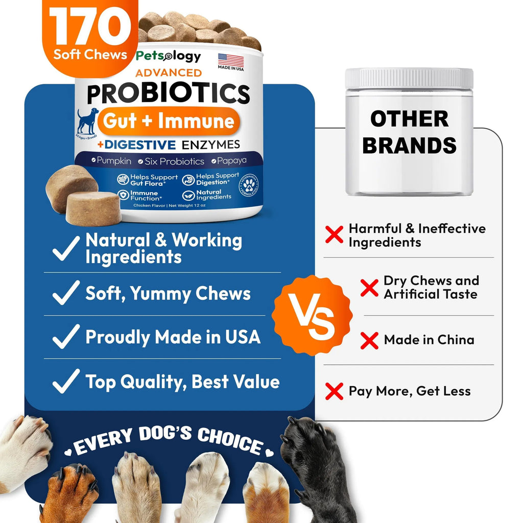 Probiotics for Dogs label close-up | CalmPaws