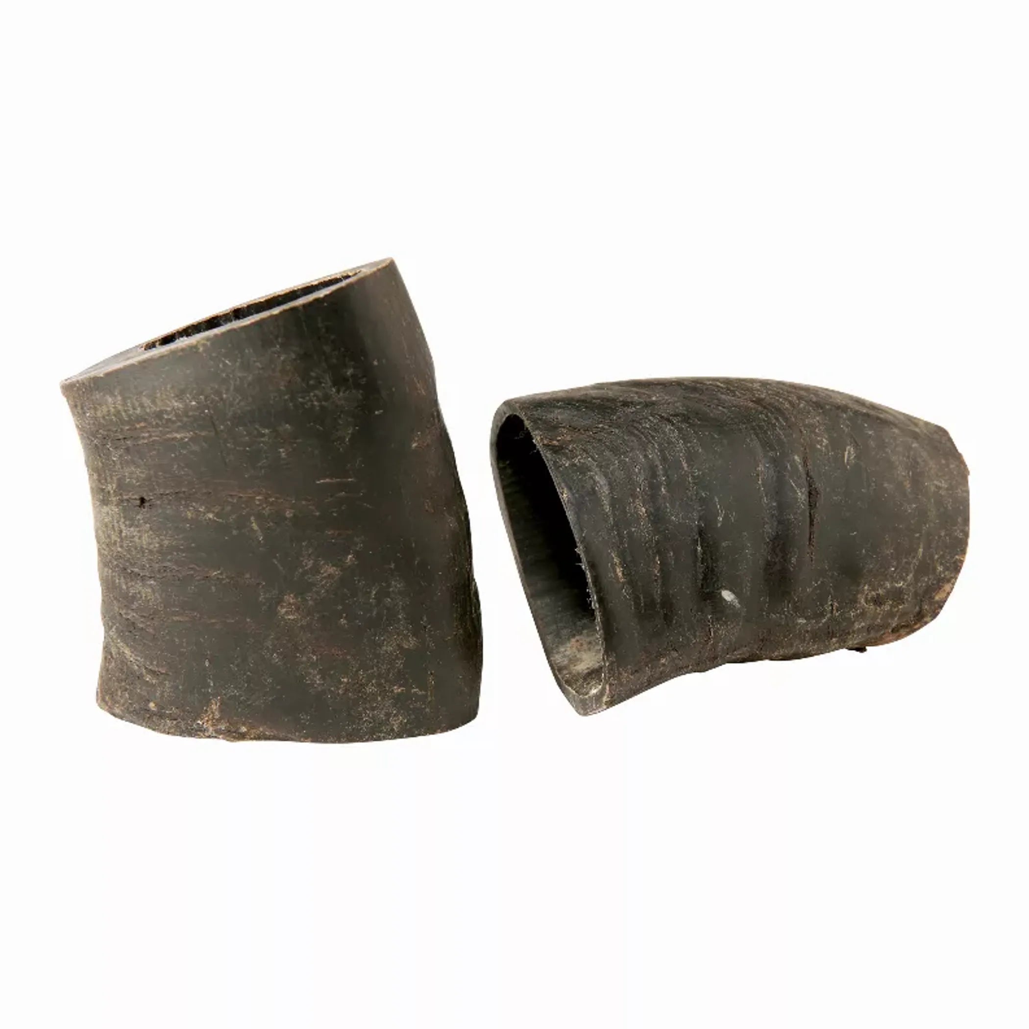 Water Buffalo Horn Dog Chew Treat side view | CalmPaws